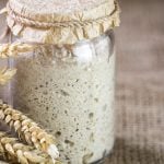 Qué es el lievito madre, por qué todos los panaderos hablan de él y para qué recetas sirve