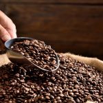 Arábica o robusta: diferencias entre las dos variedades de café más consumidas en el mundo