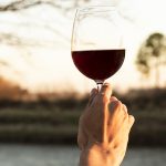 Vinos volcánicos: qué los define y por qué generan debate