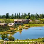Las mejores experiencias enoturísticas del mundo: 7 bodegas argentinas en el top 50
